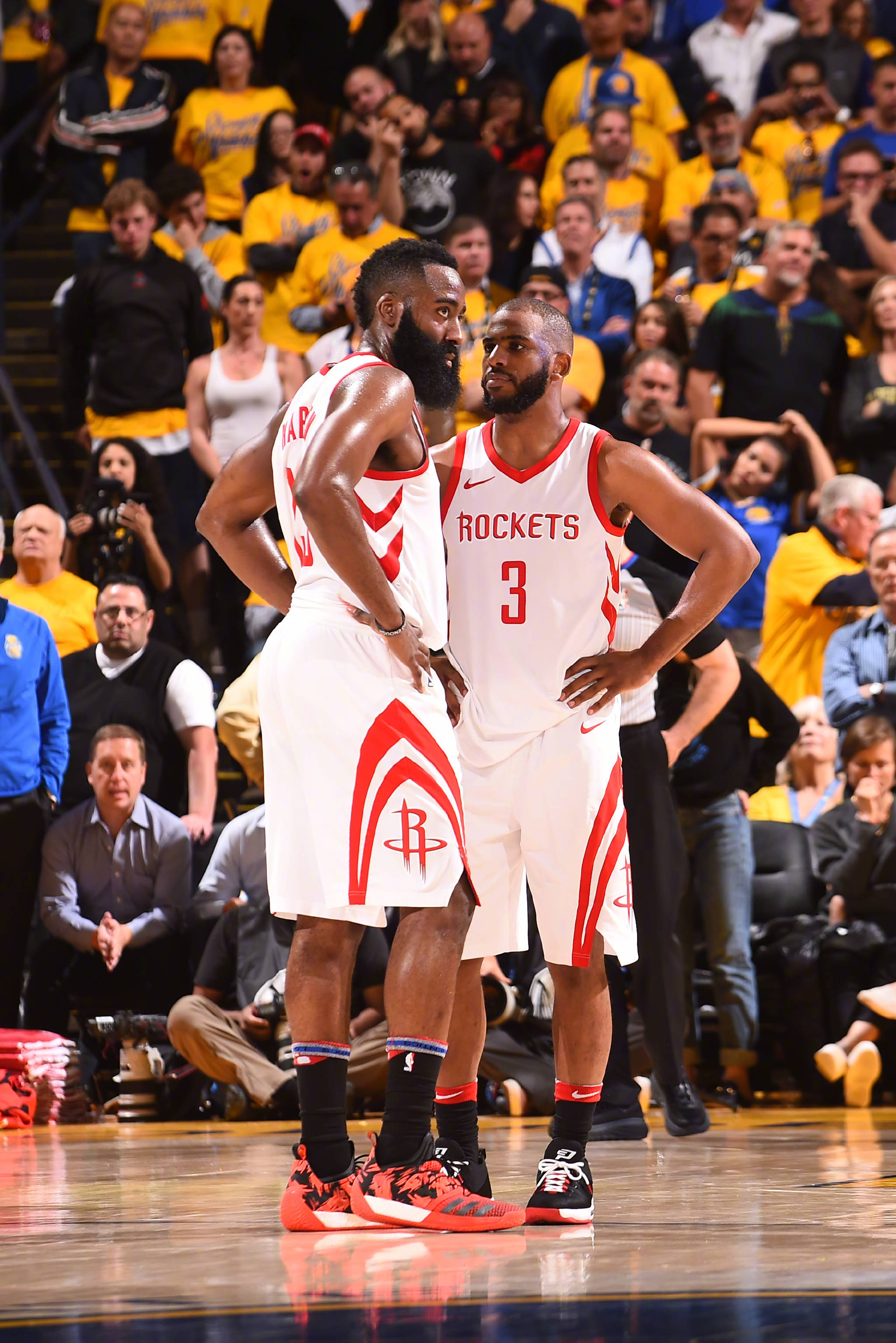 着他并不会 着他并不会